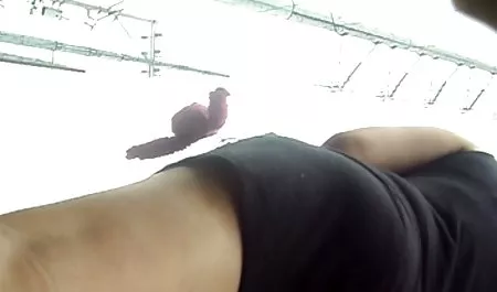 大きなおっぱい. 巨乳 爆乳 アニメ フリークです。 Vol. 35まで拡大してまいります。