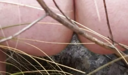 メガBustyか記述させたおっぱいから--- 爆乳 アニメ パイズリ